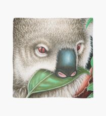 Cute Koala Munching a Leaf Scarf