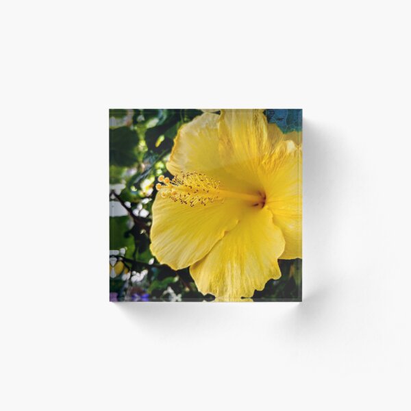 Yellow Flower Acrylic Block
