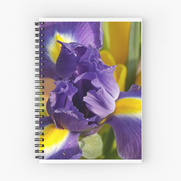 Item preview, Iris designed and sold by Jeanne Frasse.