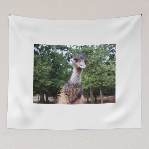Item preview, Curious Emu designed and sold by Cynthia48.