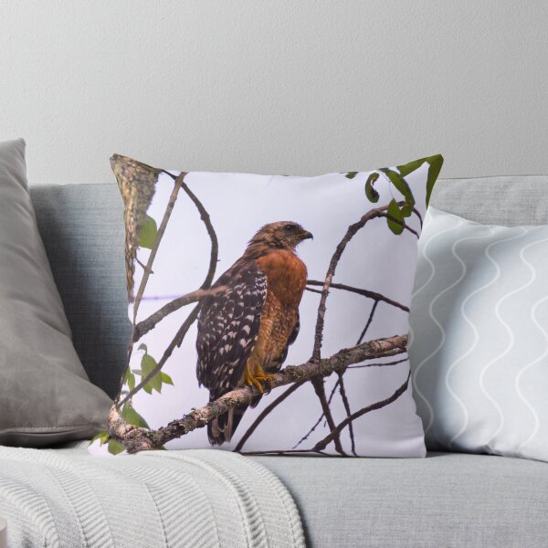 Item preview, Red Shouldered Hawk 2 designed and sold by LisaWootenPhoto.