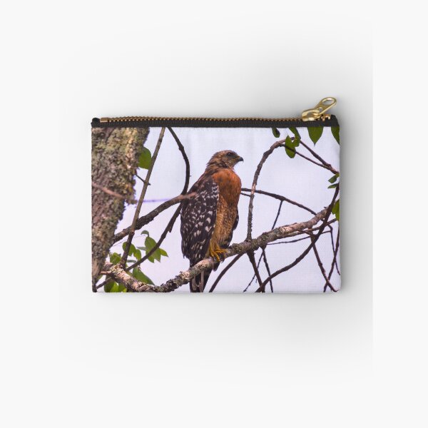 Item preview, Red Shouldered Hawk 2 designed and sold by LisaWootenPhoto.