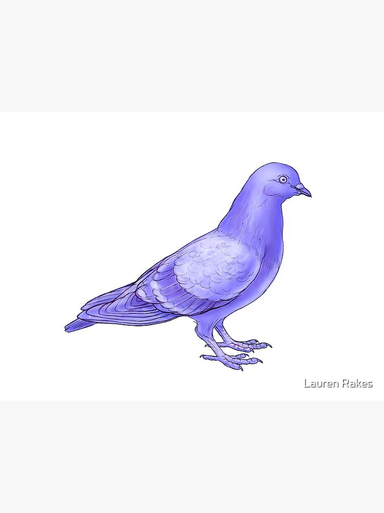 purple pigeon