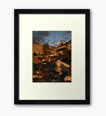 Sunset light at Evolution Lake Framed Print