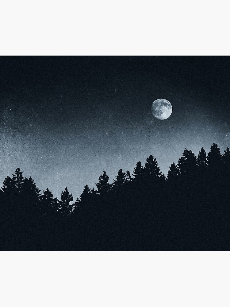 Under Moonlight by tekay