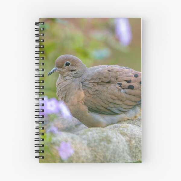 Item preview, Mourning Dove On Bird Bath designed and sold by Michael Cummings.