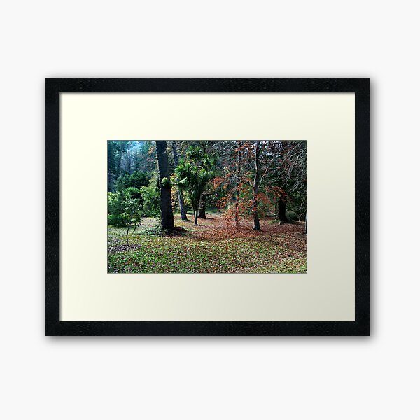 Item preview, The Autumn Garden designed and sold by LeeoPhotography.
