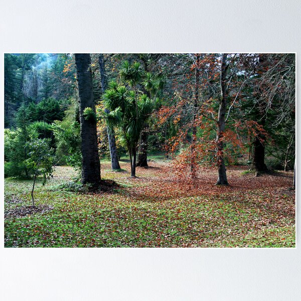 Item preview, The Autumn Garden designed and sold by LeeoPhotography.