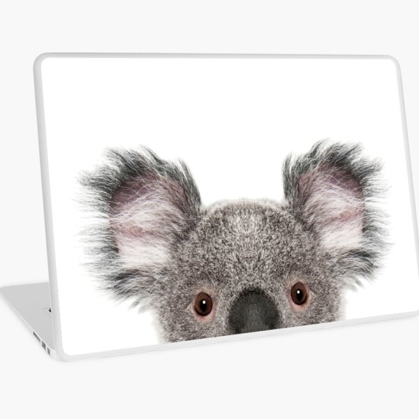 Retrato de oso koala Vinilo para portátil