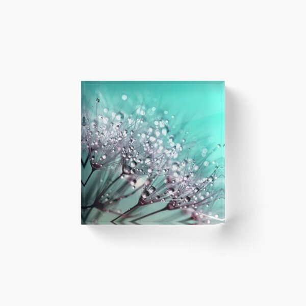 Item preview, Dandelion with dew designed and sold by SusiMalt.