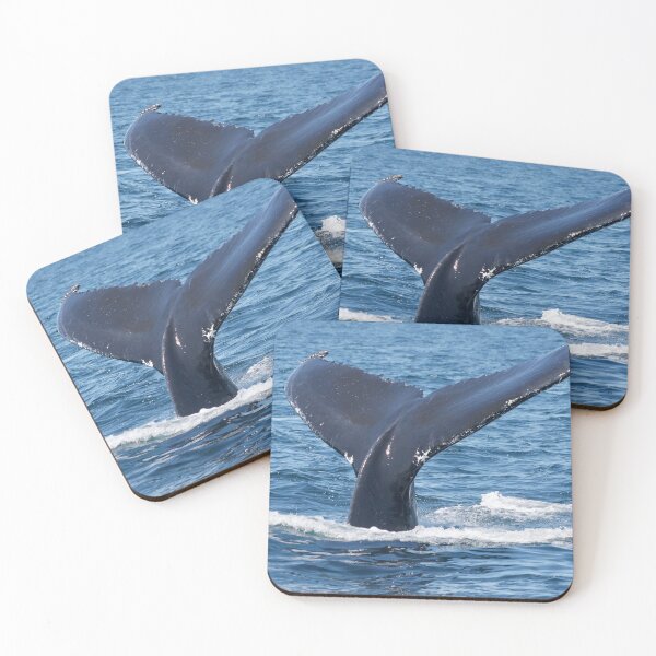 Item preview, Humpback Whale Tail designed and sold by DanaAndTheBooks.