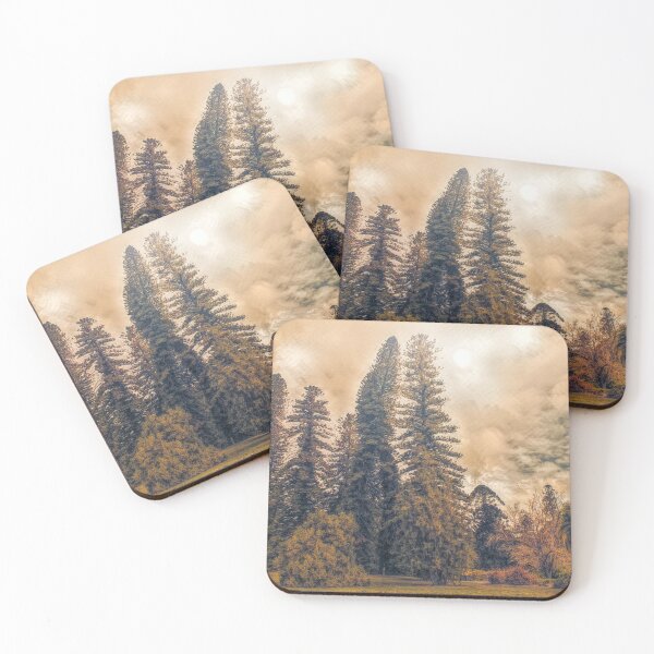 Item preview, Pine Trees designed and sold by DVJPhotography.