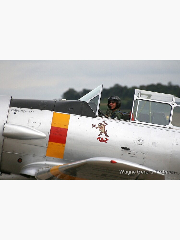 T-6 Harvard Pilot by redmoondragon