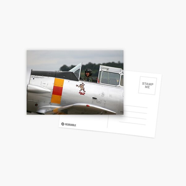 T-6 Harvard Pilot Postcard