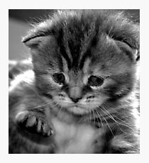 sorry... Photographic Print