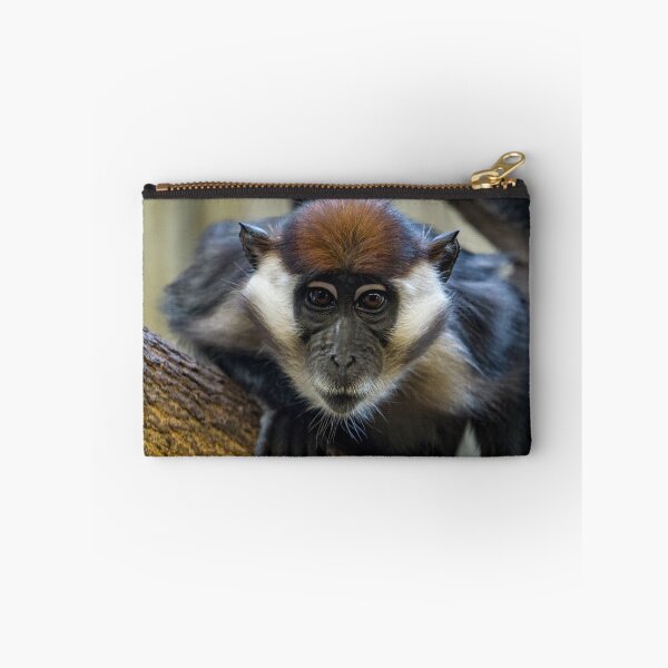 Item preview, Curious Monkey - Gift designed and sold by Dagostino.