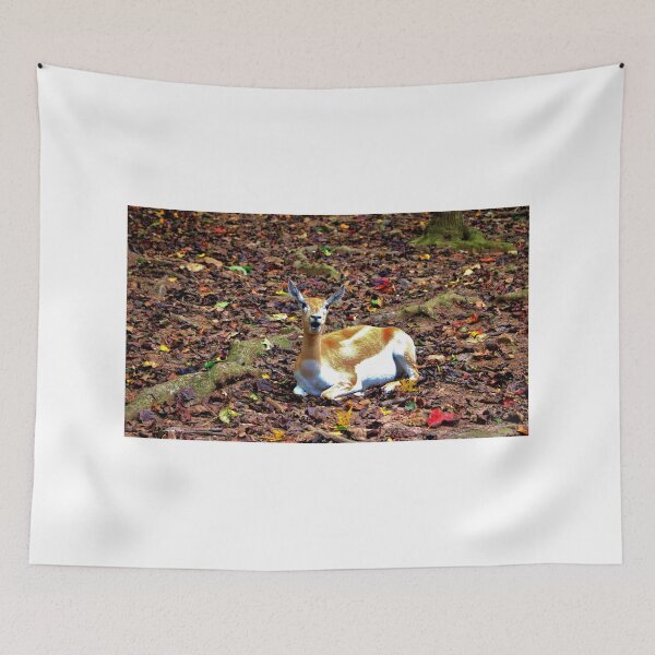 Item preview, Gazelle Enjoying Autumn designed and sold by Cynthia48.