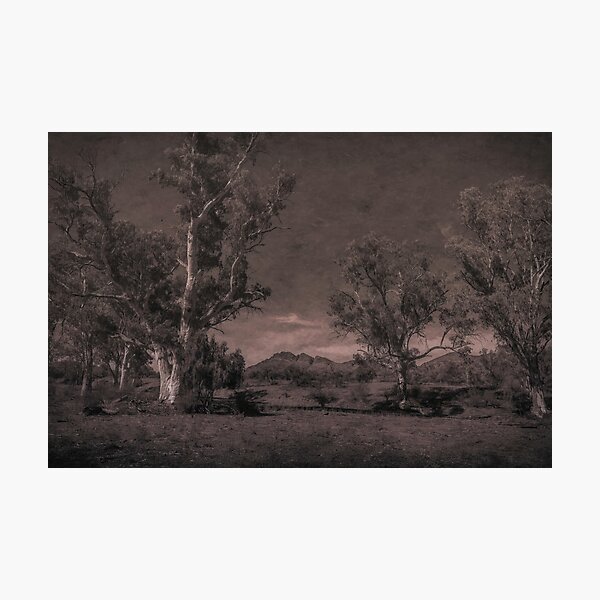 Item preview, Elder Range designed and sold by DVJPhotography.
