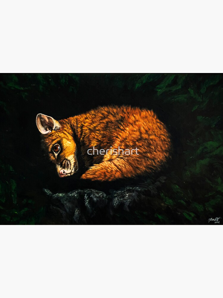 Brushtailed Possum by cherishart