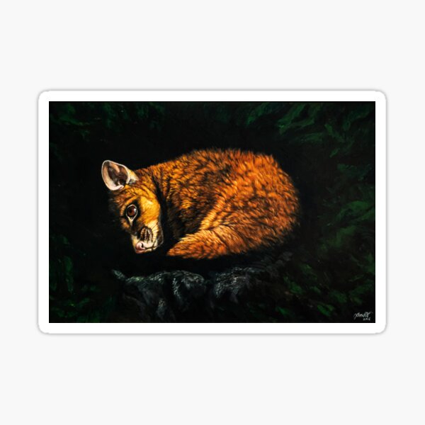 Brushtailed Possum Sticker