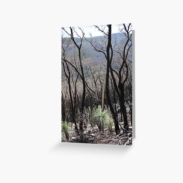 Item preview, Bushfire regrowth, Wilsons Promontory NP designed and sold by Glen Sheppard.