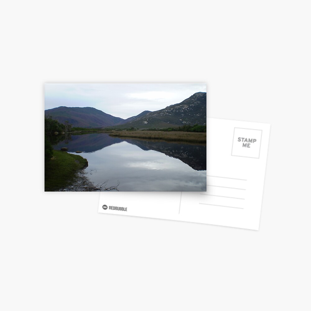 Item preview, Postcard designed and sold by shep34.