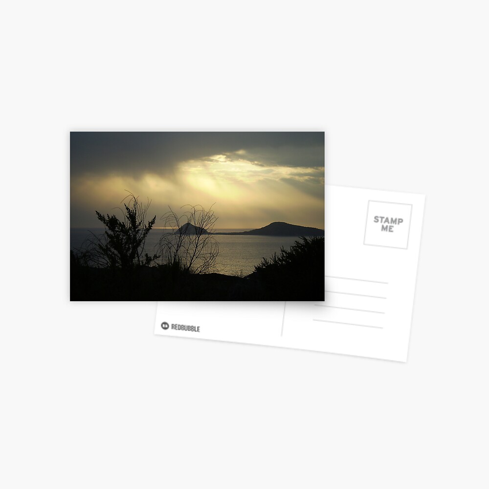 Item preview, Postcard designed and sold by shep34.