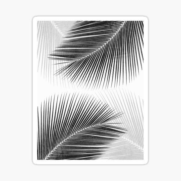 Vista previa del artículo con la obra «Sincronicidad de hoja de palma - bw», diseñado y vendido por Gale Switzer.