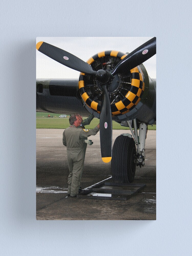 Alternate view of Keeping Her Flying Canvas Print