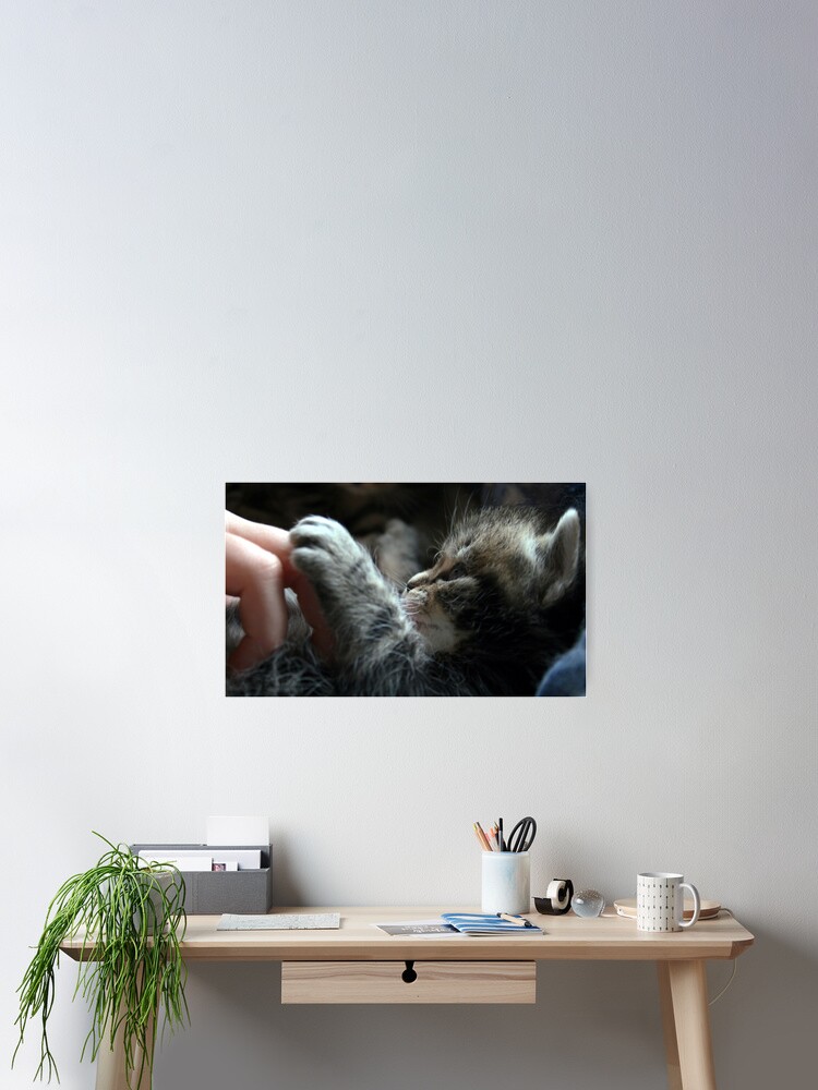Imagen 2 de 3, Póster con la obra Touch, diseñada y vendida por PinkPix.