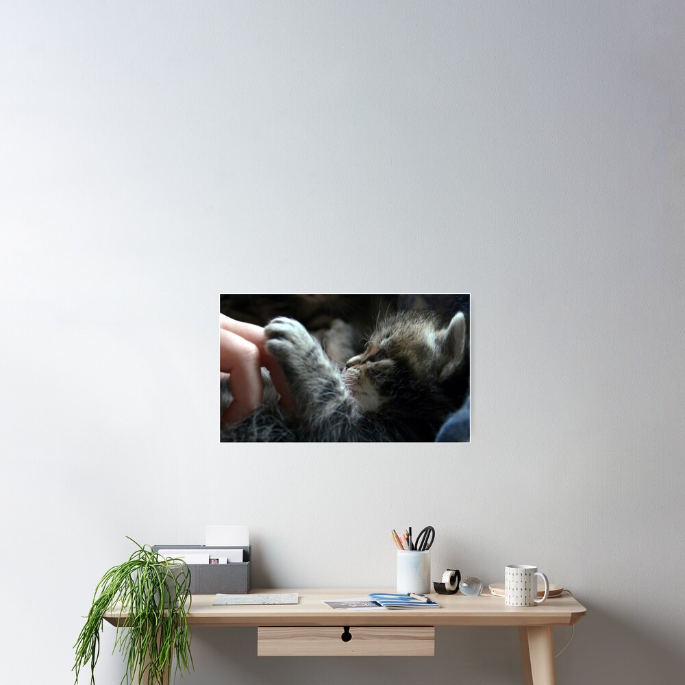 Vista previa del artículo con la obra «Póster», diseñado y vendido por PinkPix.