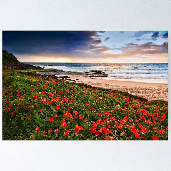 Item preview, Flowers of Bungan Beach designed and sold by Jason Pang.