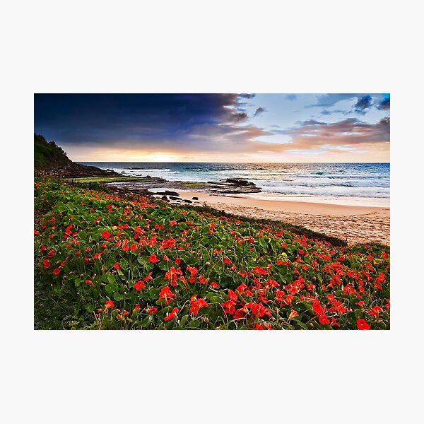 Artikelvorschau, Flowers of Bungan Beach entworfen und verkauft von Jason Pang.