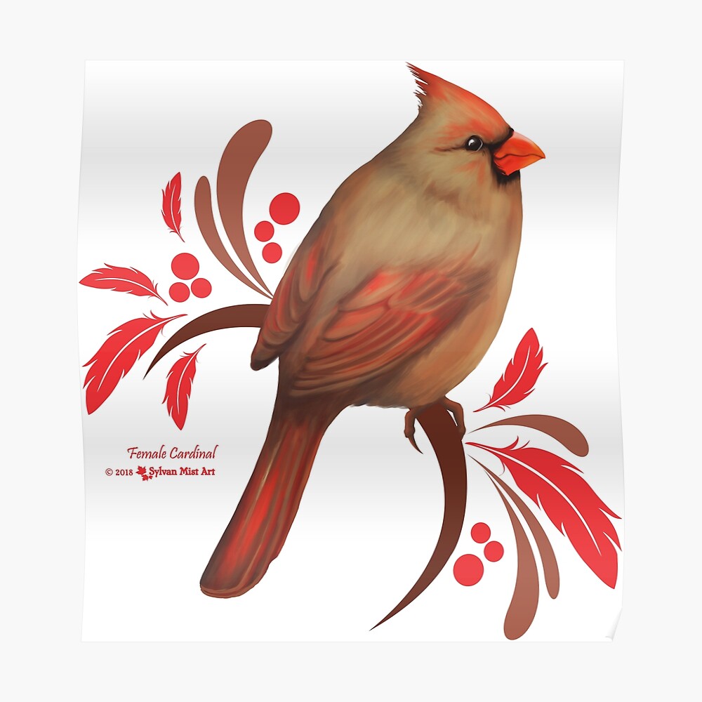 Male Cardinal Essential T-Shirt for Sale by sylvanmist