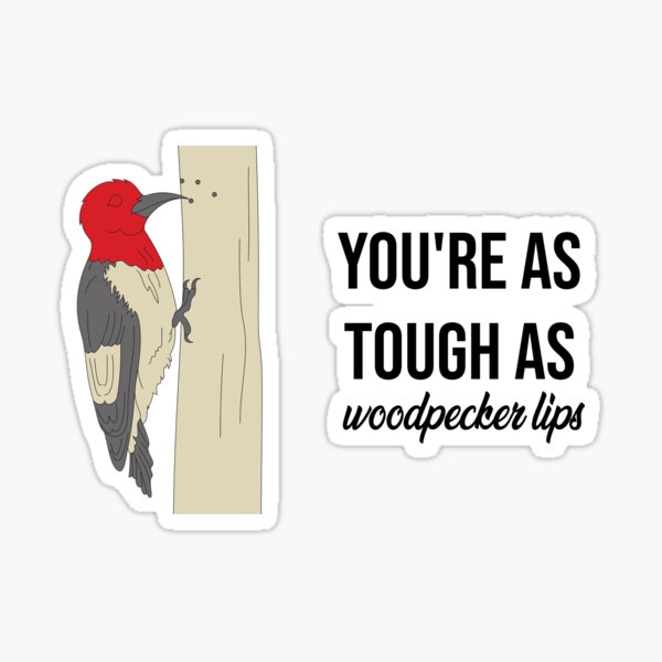 "Tough as Woodpecker Lips" Sticker by RadicalAM Redbubble