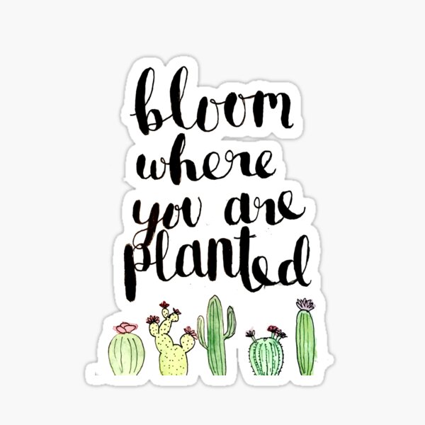 Bloom where you are planted Sticker