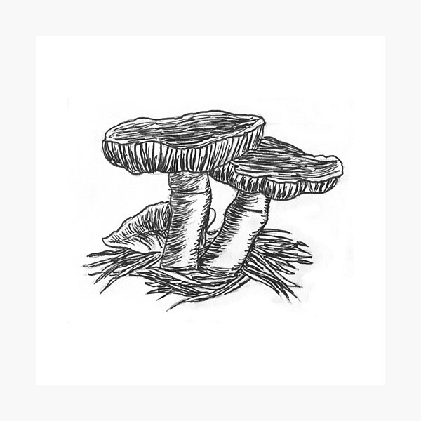 Poisonous (Inktober 2018 #1) Photographic Print