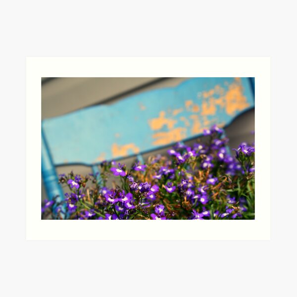 Purple Flowers~ Art Print
