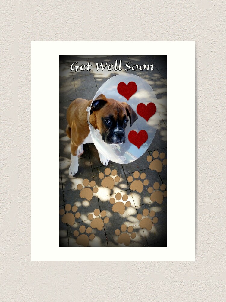 Get Well Soon print art Animals print art at