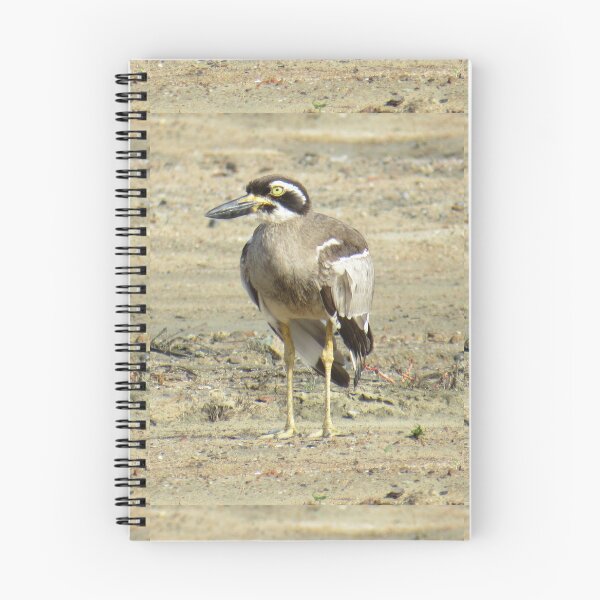 Item preview, Beach Stone Curlew designed and sold by Genevieve Hanlon Art and Photography.