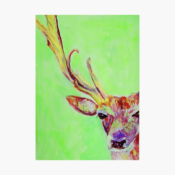 Lime green red stag Photographic Print