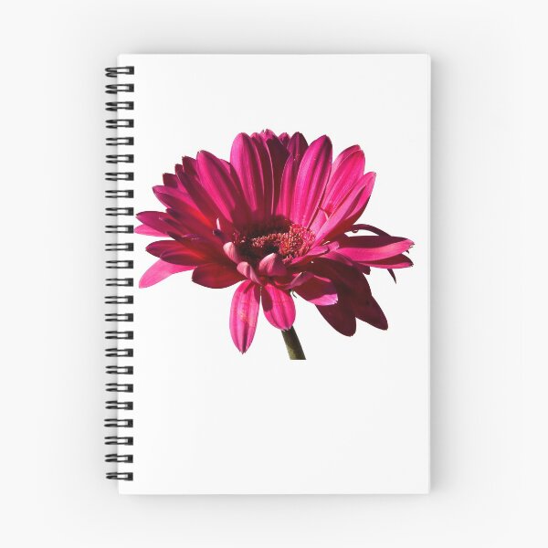 Item preview, Gerbera designed and sold by Valentina Gatewood.