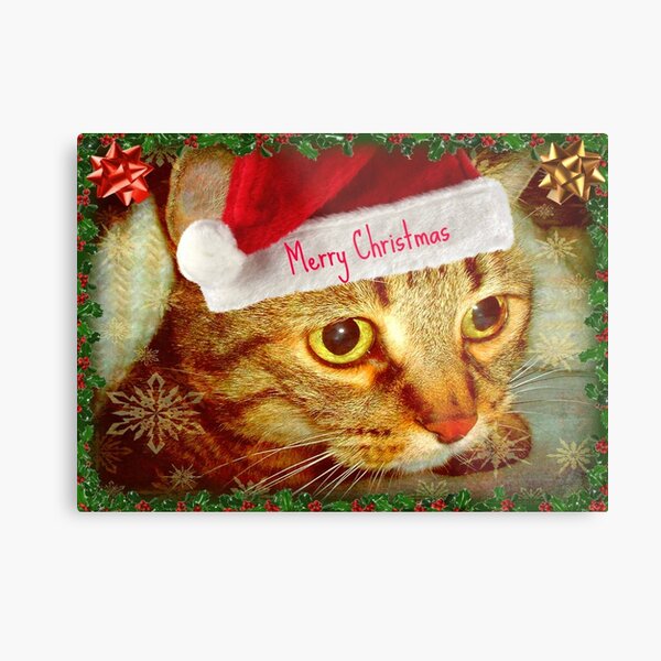 Dear Santa, this is my wish... © Metal Print