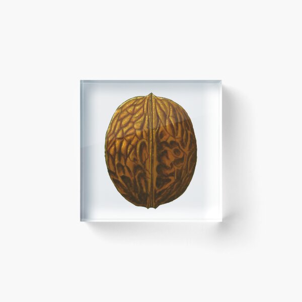 Item preview, Walnut designed and sold by ExplosiveA.