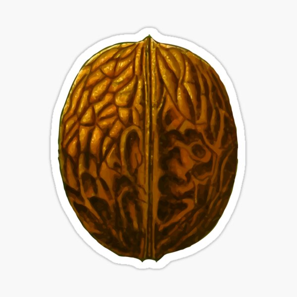 Walnut Sticker