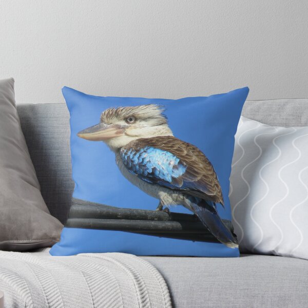 Item preview, Kookaburra-Electric Wire-Pants On Fire 3 designed and sold by Genevieve Hanlon Art and Photography.