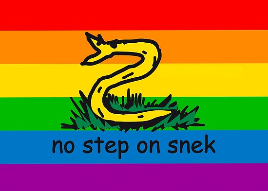 no step on snek maga yellow and rainbow lgbtq flag pride snek modern flag helicopter ride don 39 t tread on me ancap libertarian kekistan funny snake - someone is following me on instagram i don 39