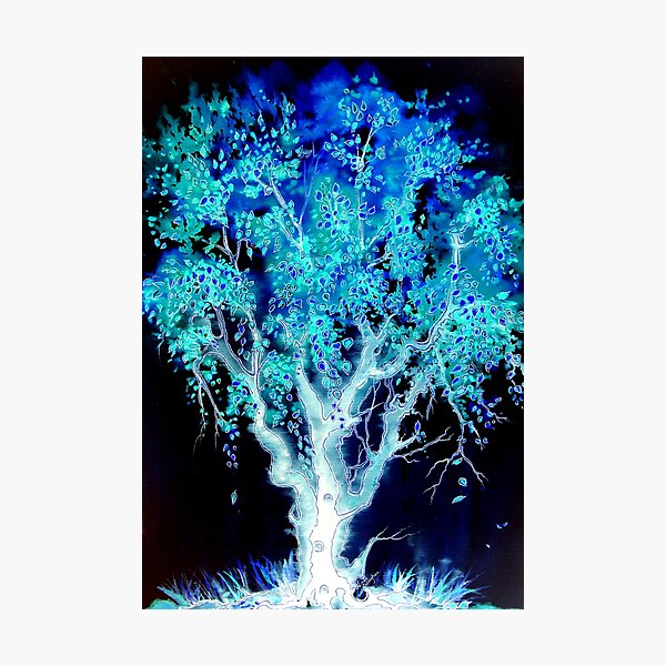 Tree Shine Photographic Print