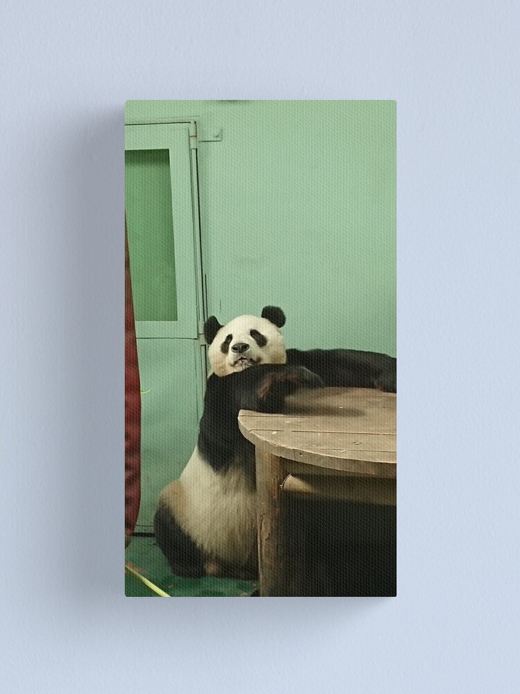 Panda table