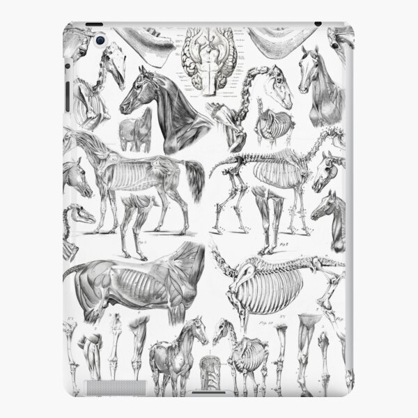 Horse Anatomy (black on white) iPad Snap Case